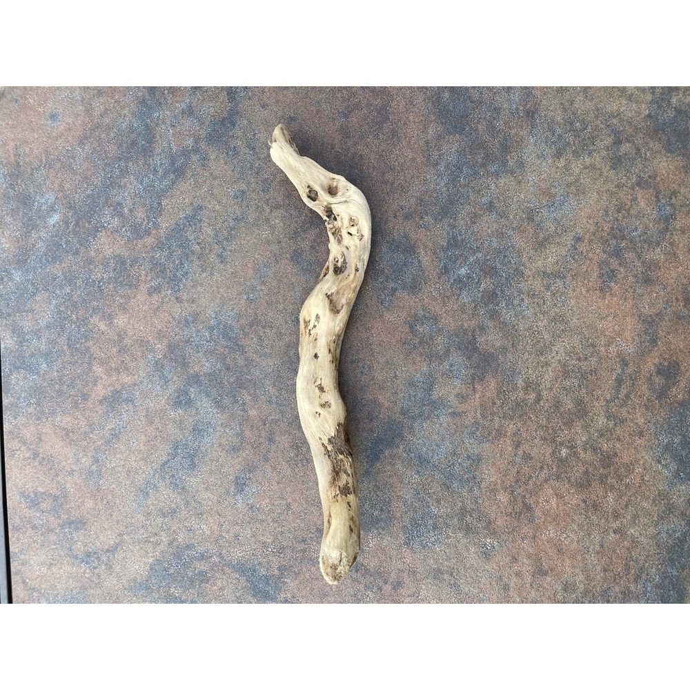 Natural Driftwood for Plants Terrarium Taxidermy Art Projects